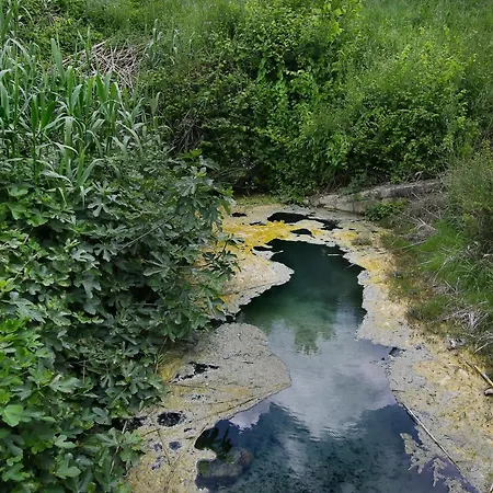 Gasthuis Podere Poderaccio *